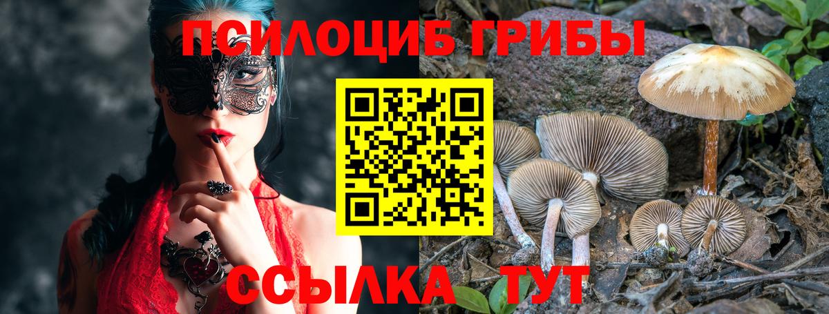 Псилоцибиновые грибы Magic Shrooms  Галлюциногенные грибы Cubensis  Большой Камень  Вход с VPN 