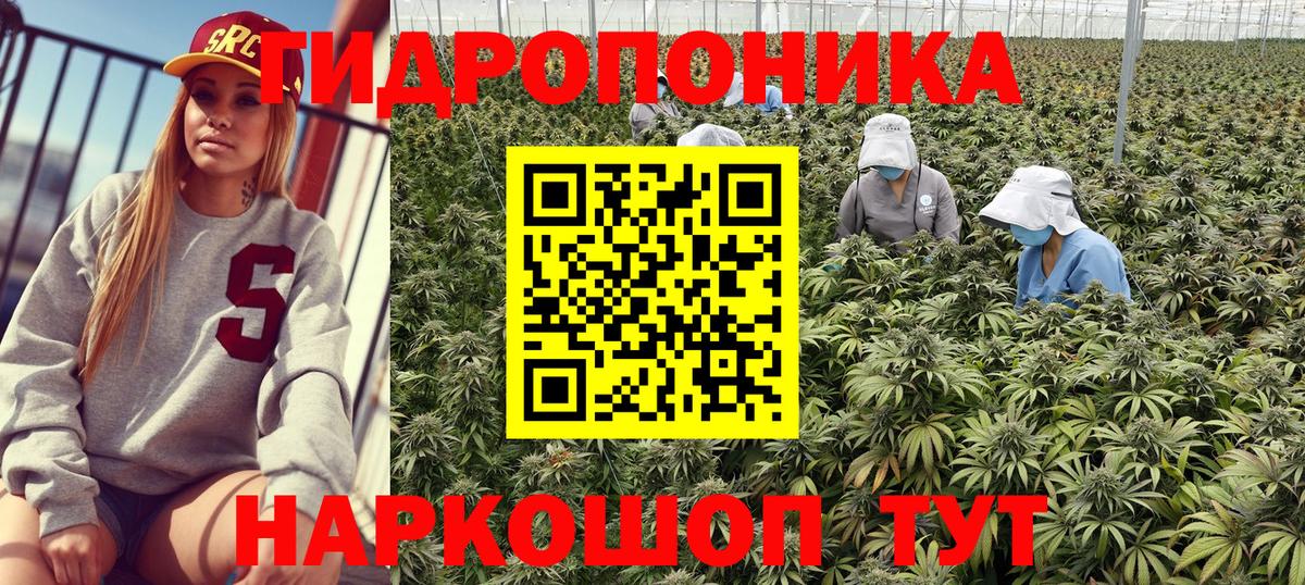 Канабис OG Kush Большой Камень
